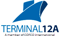 logo terminal12A